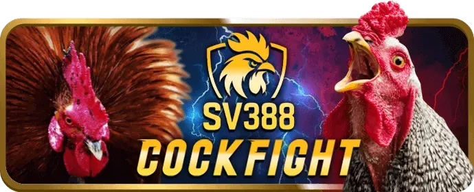 Cá cược thể thao uuu888